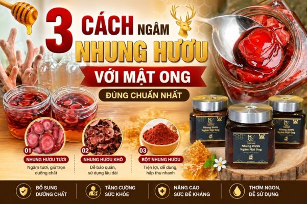 Cách ngâm nhung hươu với mật ong đúng chuẩn và dễ thực hiện
