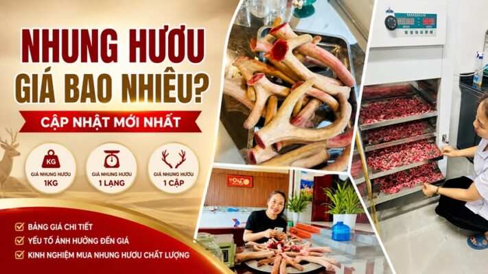 Nhung hươu giá bao nhiêu? Cập nhật mới nhất theo kg, lạng, cặp