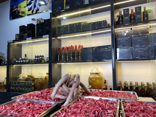 Nhung hươu làm quà biếu có phù hợp không? Gợi ý cách chọn, đơn vị uy tín
