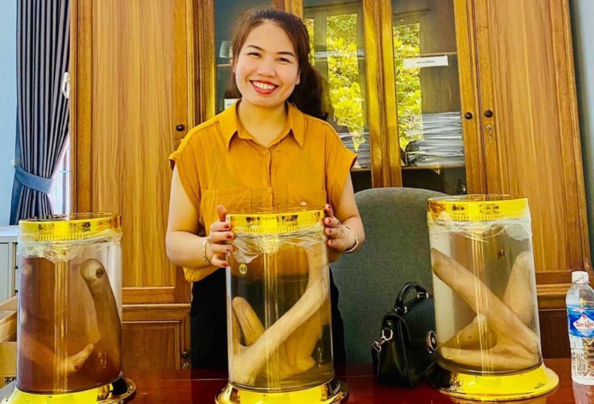 Rượu nhung hươu Hương Sơn: Công dụng, giá bán và sản phẩm nên mua