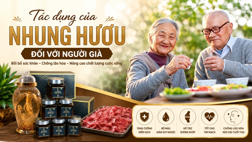 7+ tác dụng thần kỳ của nhung hươu với người già