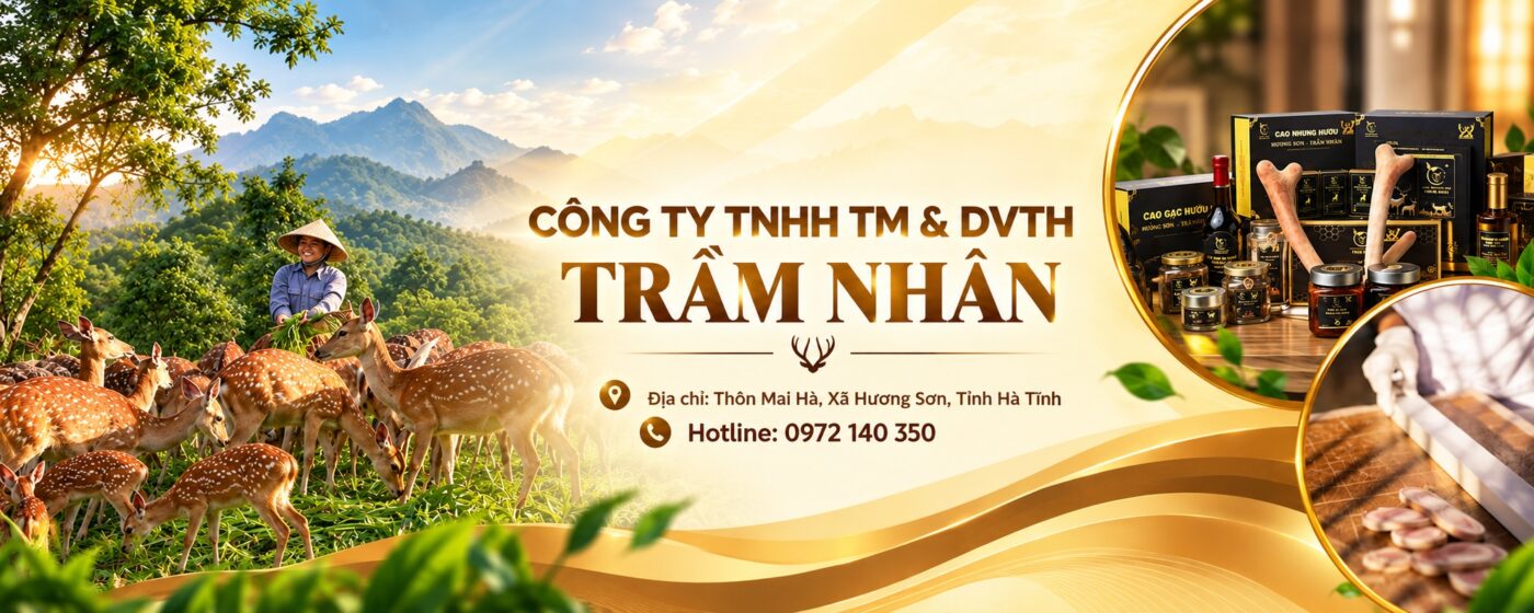 Nhung Hươu Trầm Nhân