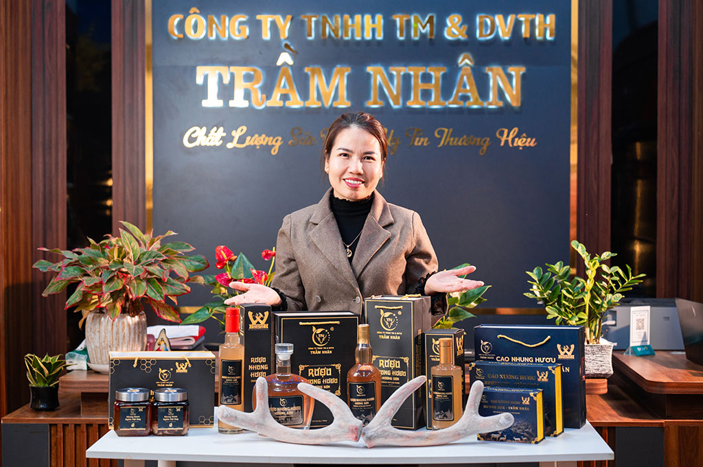 Nhung Hươu Trầm Nhân
