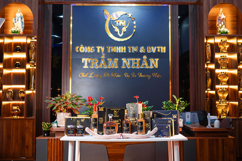 Nhung Hươu Trầm Nhân